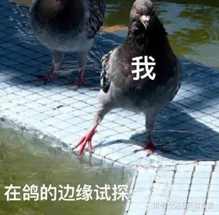 泰勒gsmini吉他和小提琴是同门师兄弟吗