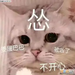  我想租你一天可以吗表情包图片祝你俩早日结婚表情包下载乐游网游戏下载
