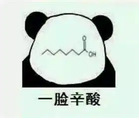  爱上实验室系列能动系车辆学院专场