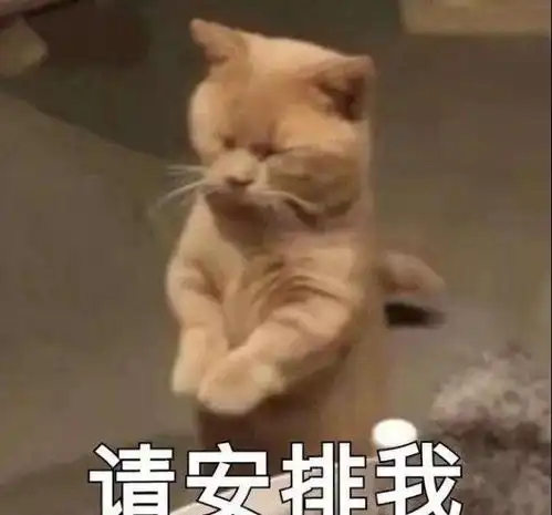啊对对对表情包段子