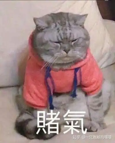 猫咪冲刺表情包我不是你