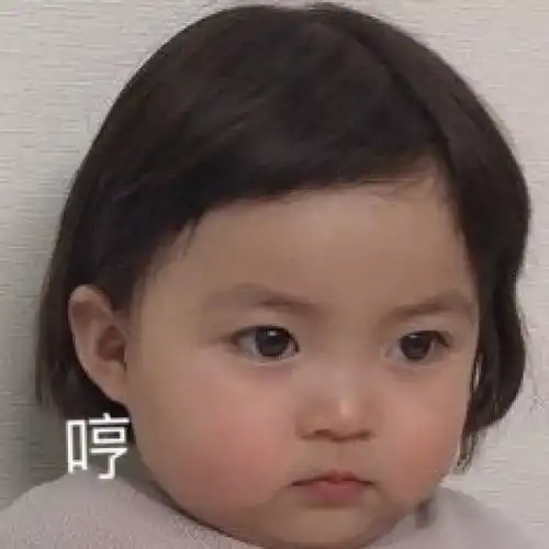  小罗熙表情包超多可爱表情来啦