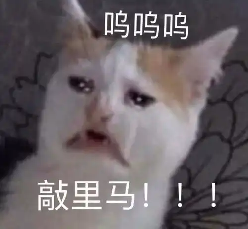  2021澳洲大学最新考试政策与形式解读