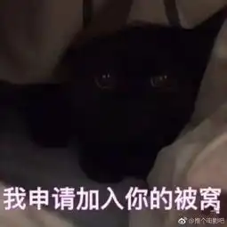 情侣表情包对女朋友的被