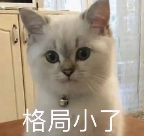  娜扎和陈伟霆的路透暧昧到镜头起雾,让人忘了她的演技..