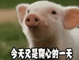  简单几个步骤就能帮你解决表情包过大的问题