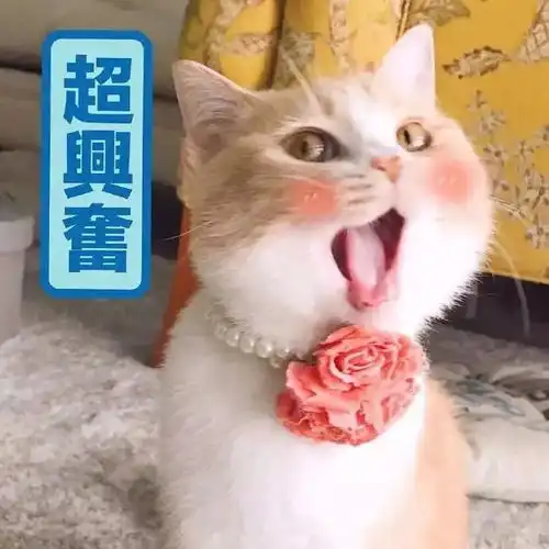  期中考试周结束,别宅在宿舍了