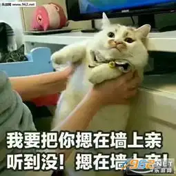 恭喜微信表情包楼楼