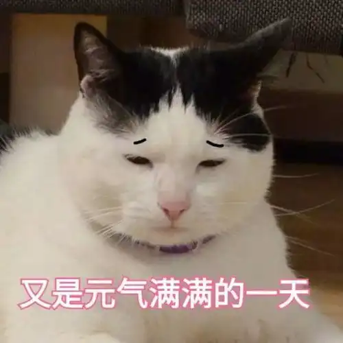  猫咪表情包如果我是一只咸鱼,那就让我快乐每一天