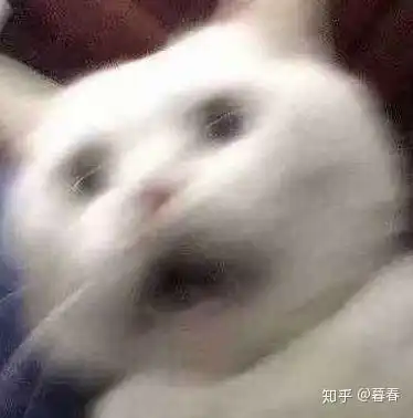 渣男表情包小女孩男朋友