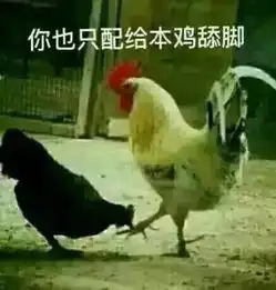  春节回老家,送你一波与亲戚聊天的微信表情包