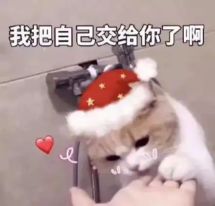  你的圣诞表情包已送达,请签收