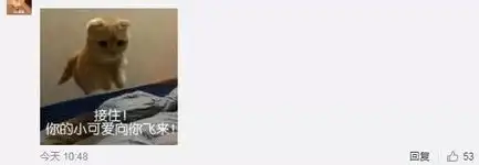  情侣之间发什么表情包网友快马住,万一有对象了呢