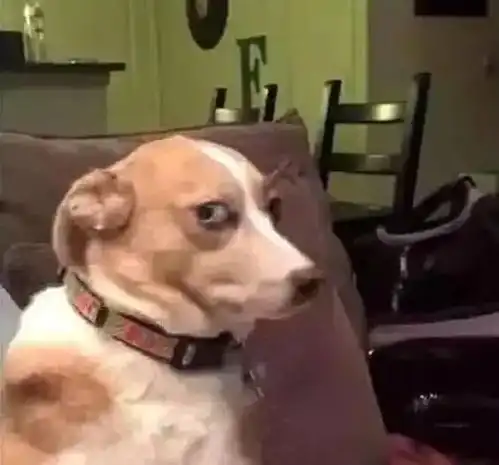  轻松一刻不懂就问,酒店的这个床是干嘛用的