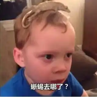  假笑男孩刷爆朋友圈,凭假笑成世界第一网红有毒