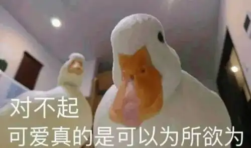 真的假的表情包鸭子