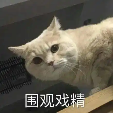  第67期喵表情此猫拉屎中,勿看勿进
