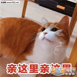 加菲猫表情包小视频小哥