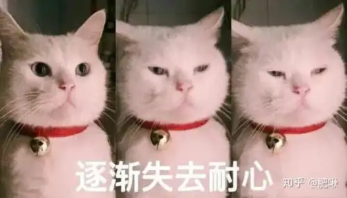  女朋友在玩游戏的时候跟别人聊的特别开心全程我没有说话的空间,完后还加别人联系方式聊天我该怎么办