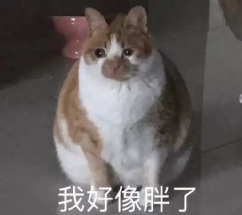  1收藏夹