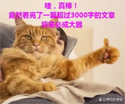 猫咪冲刺表情包猫叫
