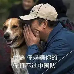  东京奥运会期间有哪些沙雕朋友圈文案和表情包
