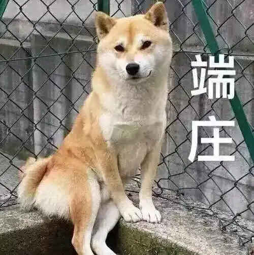  有时间一起去散步呗,我看你挺会走路的