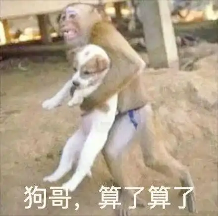  家里养狗的注意啦哈尔滨犬证办理网点增加还有这些你得注意