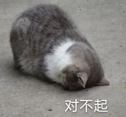 野人图片表情包猫咪