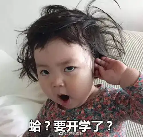  相信我有了这几组表情包,你将会是朋友圈最闪耀的新星