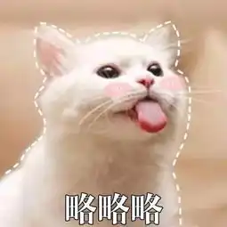  表情包小萌猫