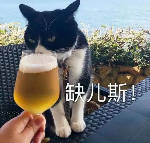  猫咪表情包如果我是一只咸鱼,那就让我快乐每一天