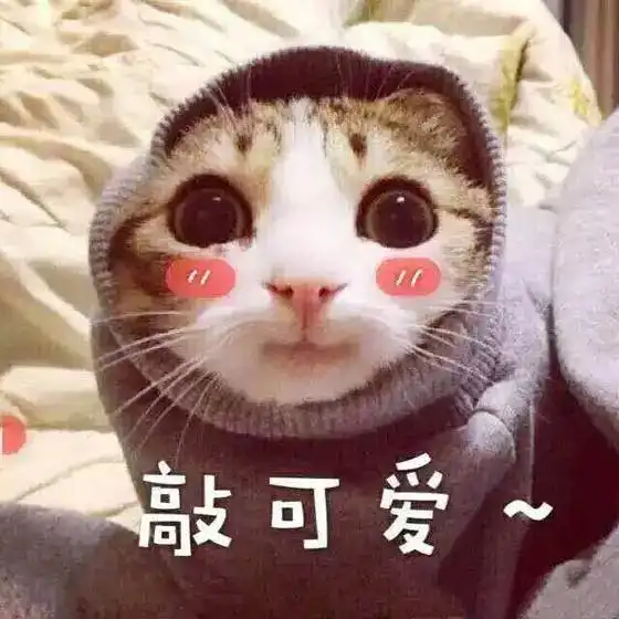 猫咪冲刺表情包大话西游