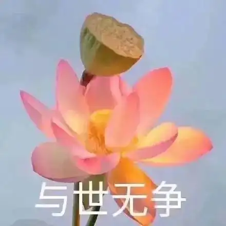  超级土味表情包