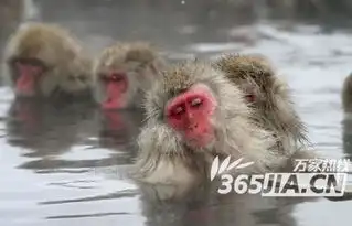 昏昏欲睡表情包至极