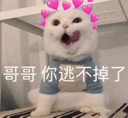 有没有适合情侣之间发的表情包 有没有适合情侣之间发的表情包