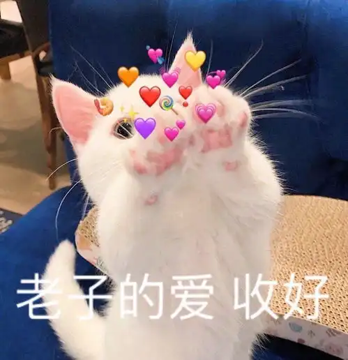  2021年4月13日早鸟报