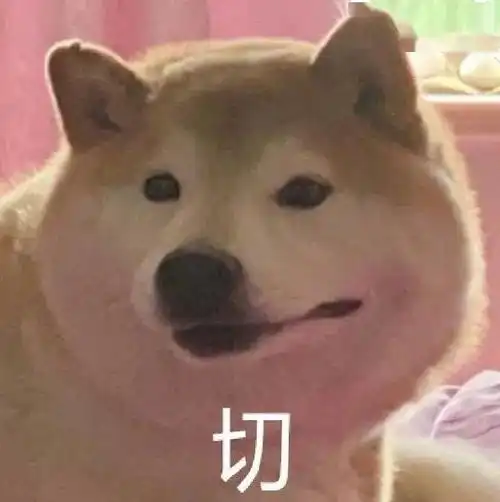  一波柴犬表情包,拿好不谢