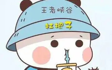  新人up请多多关照打架视频哔哩哔哩bilibili