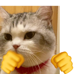  小动物打拳gif搞笑表情精选