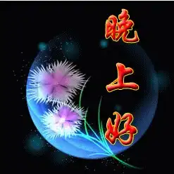  郑衣云5月18日晚间eia多空争夺操作建议