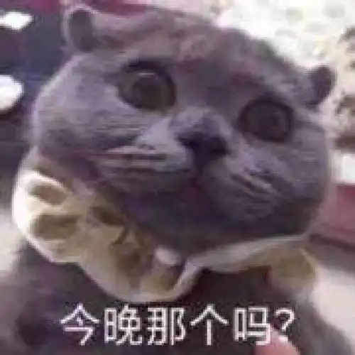 今日份搞笑斗图表情包29张