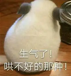  大饼秋季最红包包竟然放不下一个iphone8