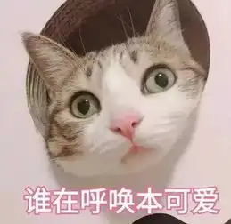 加菲猫表情包小视频美颜