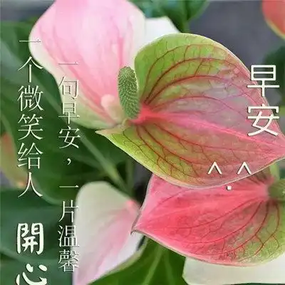 早上好表情包可爱祝福