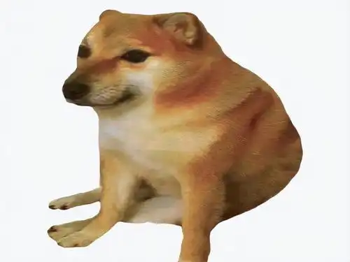 柴犬斜视表情包doge