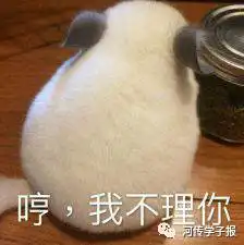 好不好嘛表情包撒娇吴京