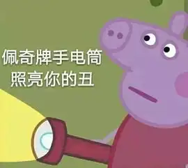  最后,是表情包说尽了我一年的酸甜苦辣