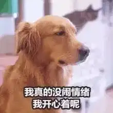 特别会生气的表情包吵架