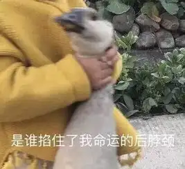  今天苏州人热得来捏昏哦然而本周五气温直逼40度,想哭
